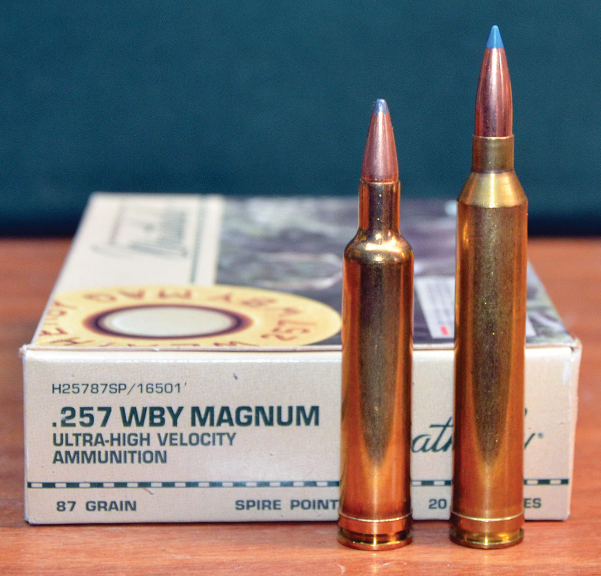 When beginning the development of a 257 Magnum cartridge during the early 1940s, Roy Weatherby first necked down the full-length 300 H&H Magnum case. When it proved to be too capacious for the use of IMR-4350, which was the slowest-burning powder on the market at the time, Weatherby shortened it to just a bit longer than the 30-06 Springfield case.